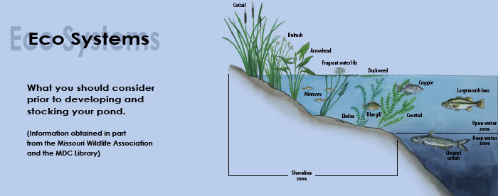 Eco Systems - Harrison Fisheries