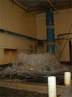 Inside Hatchery