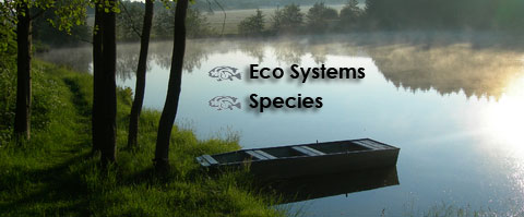 Species & Eco Systems - Harrison Fisheries